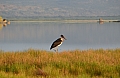 0192 Lake Natron