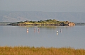 0193 Lake Natron