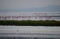 0195 Lake Natron