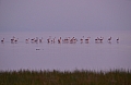 0197 Lake Natron
