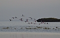0198 Lake Natron