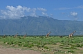 0205 Lake Natron