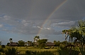 0206 Tarangire NP