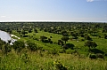 0213 Tarangire NP