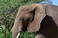 0220 Tarangire NP