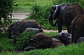 0223 Tarangire NP