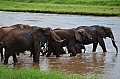 0224 Tarangire NP
