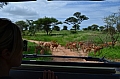 0228 Tarangire NP