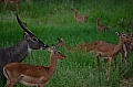 0232 Tarangire NP