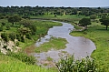 0236 Tarangire NP