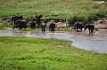0237 Tarangire NP
