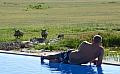 0252 Tarangire NP