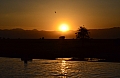 0255 Tarangire NP