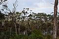 0054 Huon Valley
