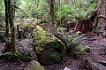 0056 Huon Valley