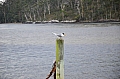 0064 Huon Valley