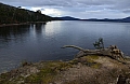 0066 Huon Valley