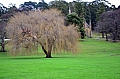 0085 Port Arthur