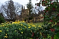 0088 Port Arthur