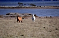 0108 Freycinet NP