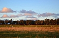 0131 Launceston