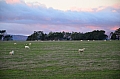 0133 Launceston