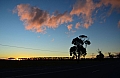 0135 Launceston