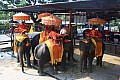 Ayuttaya-0018