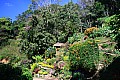 Chiang Mai-0042