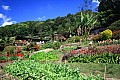 Chiang Mai-0046