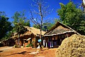 Golden Triangle-0019