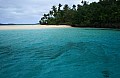 071 Vava'u - Whales in the wild