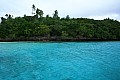 072 Vava'u - Whales in the wild