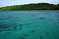 094 Vava'u - Whales in the wild