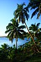 096 Vava'u - Isola di Mala