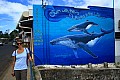 115 Isole Vava'u - Neiafu