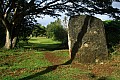 138 Tongatapu - Ha'amonga 'a Maui Trilithon