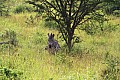 0032 Lake Mburo