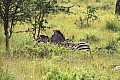 0033 Lake Mburo