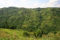 0038 presso Ntungamo