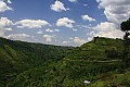 0039 presso Ntungamo