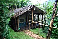 0043 Bwindi Impenetrable N.P.