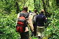 0051 Bwindi Impenetrable N.P.