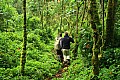 0052 Bwindi Impenetrable N.P.