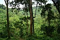 0089 Bwindi Impenetrable N.P.