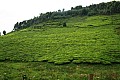 0097 presso Kabale