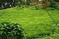 0098 presso Kabale