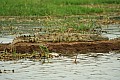 0152 Kazinga channel