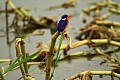 0155 Kazinga channel