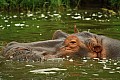 0167 Kazinga channel